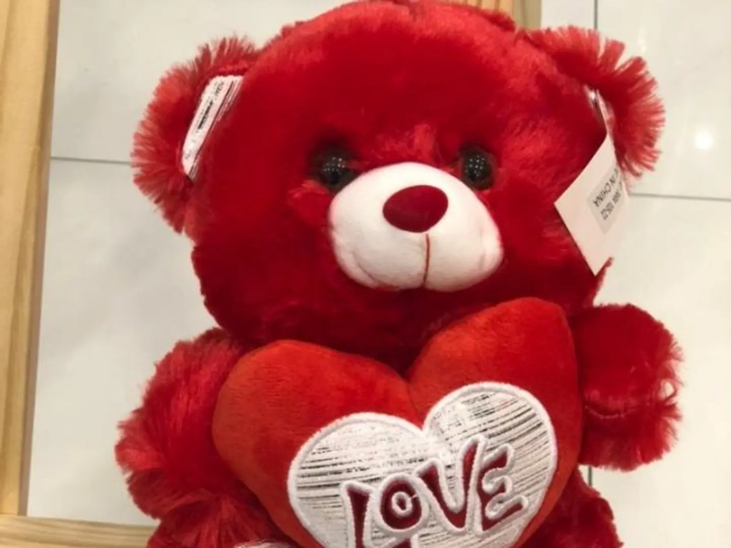 Valentine's Day Teddy Bear 4