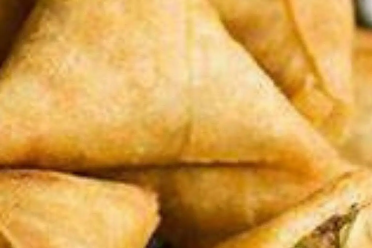 Meat Samosa