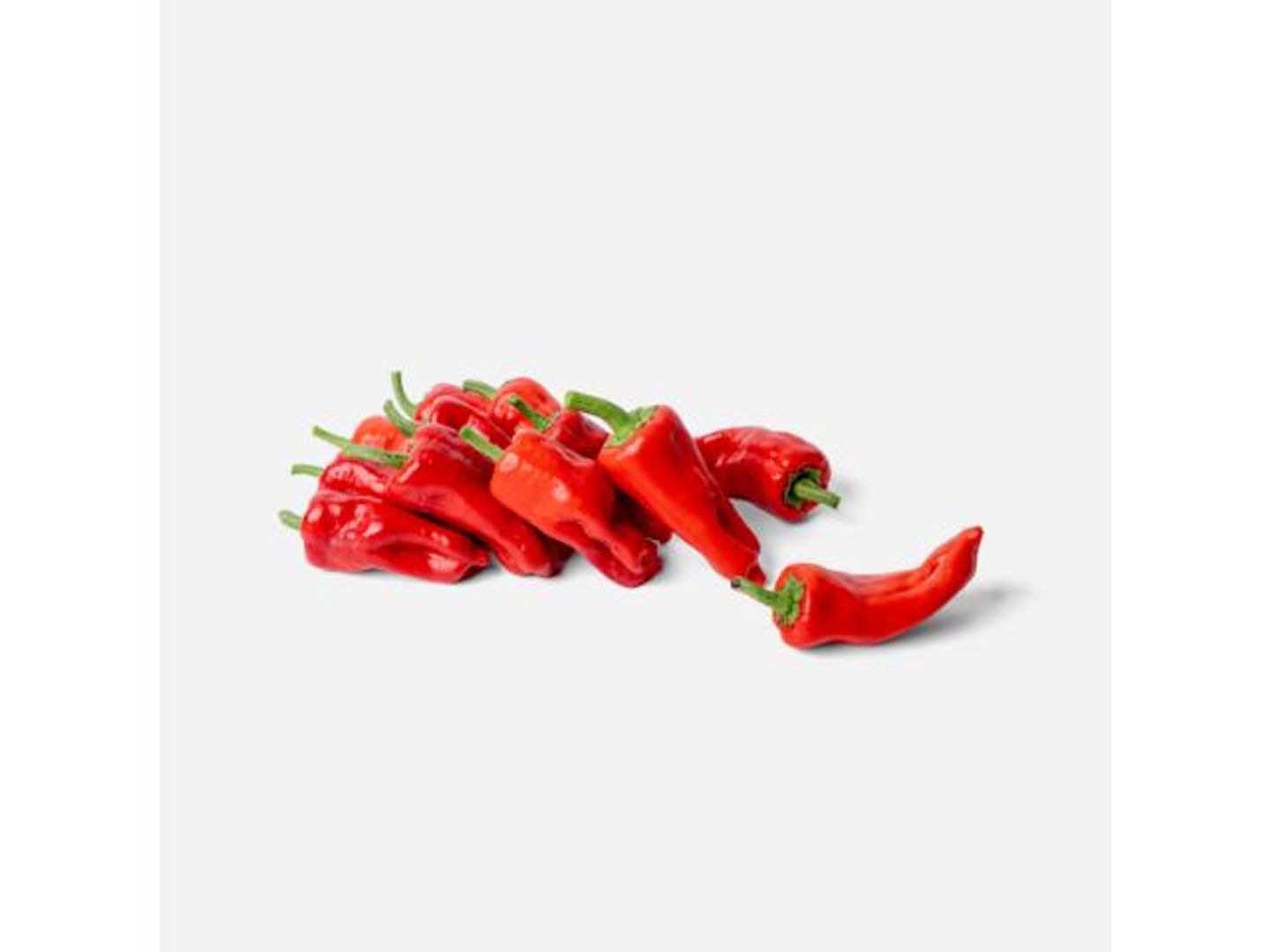 Red Shuqra Pepper