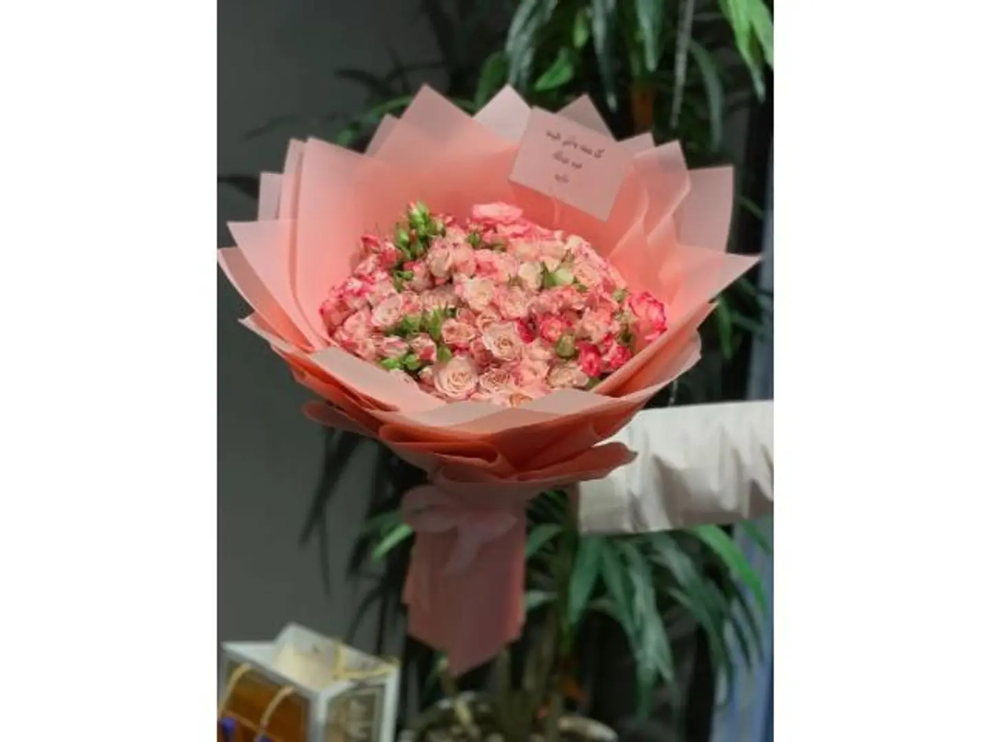 بوكيه بيبي روز