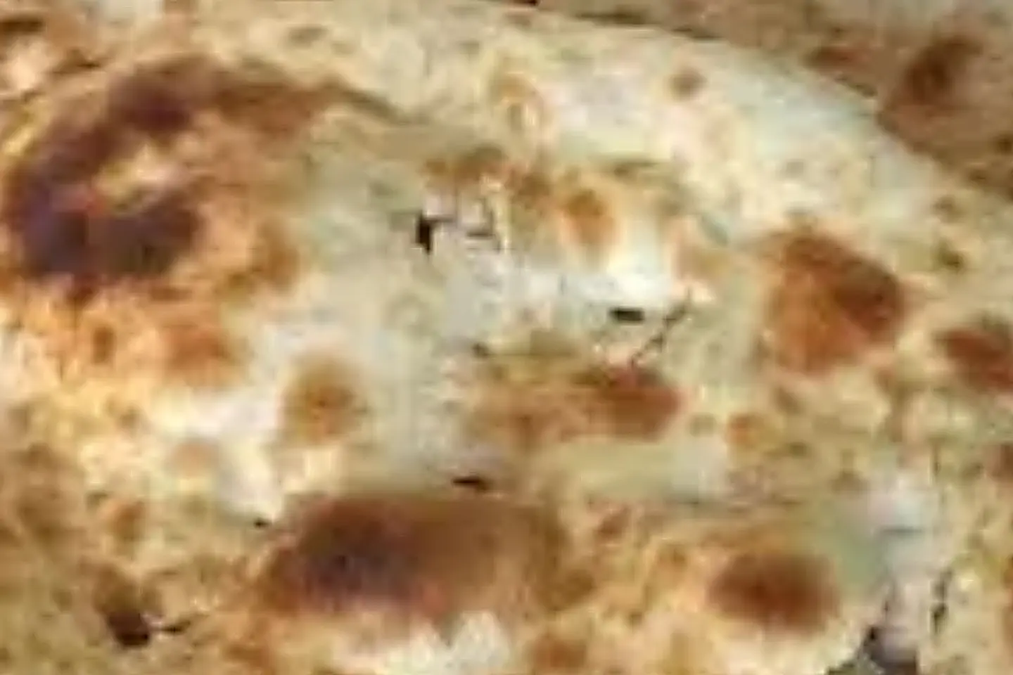 تميس جبن
