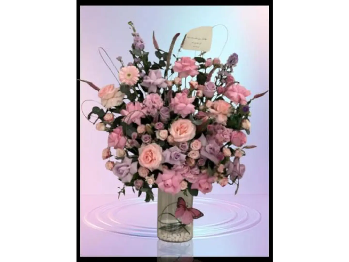 فازه الخيال