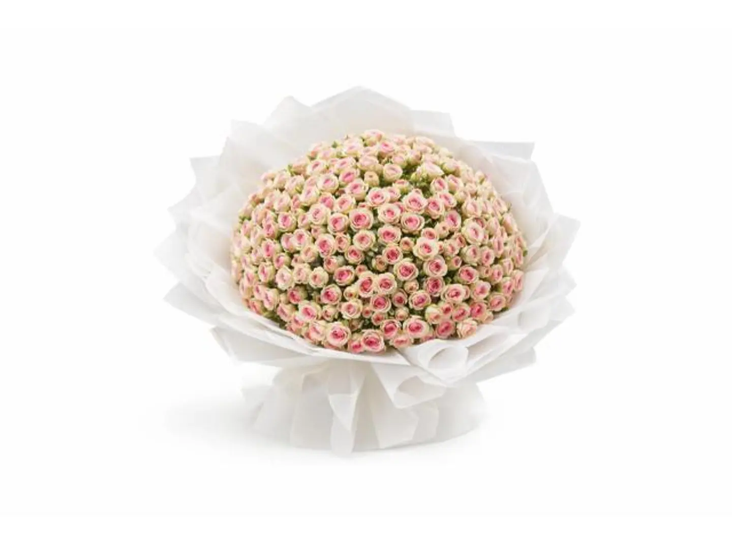 الباقة الكلاسيكية