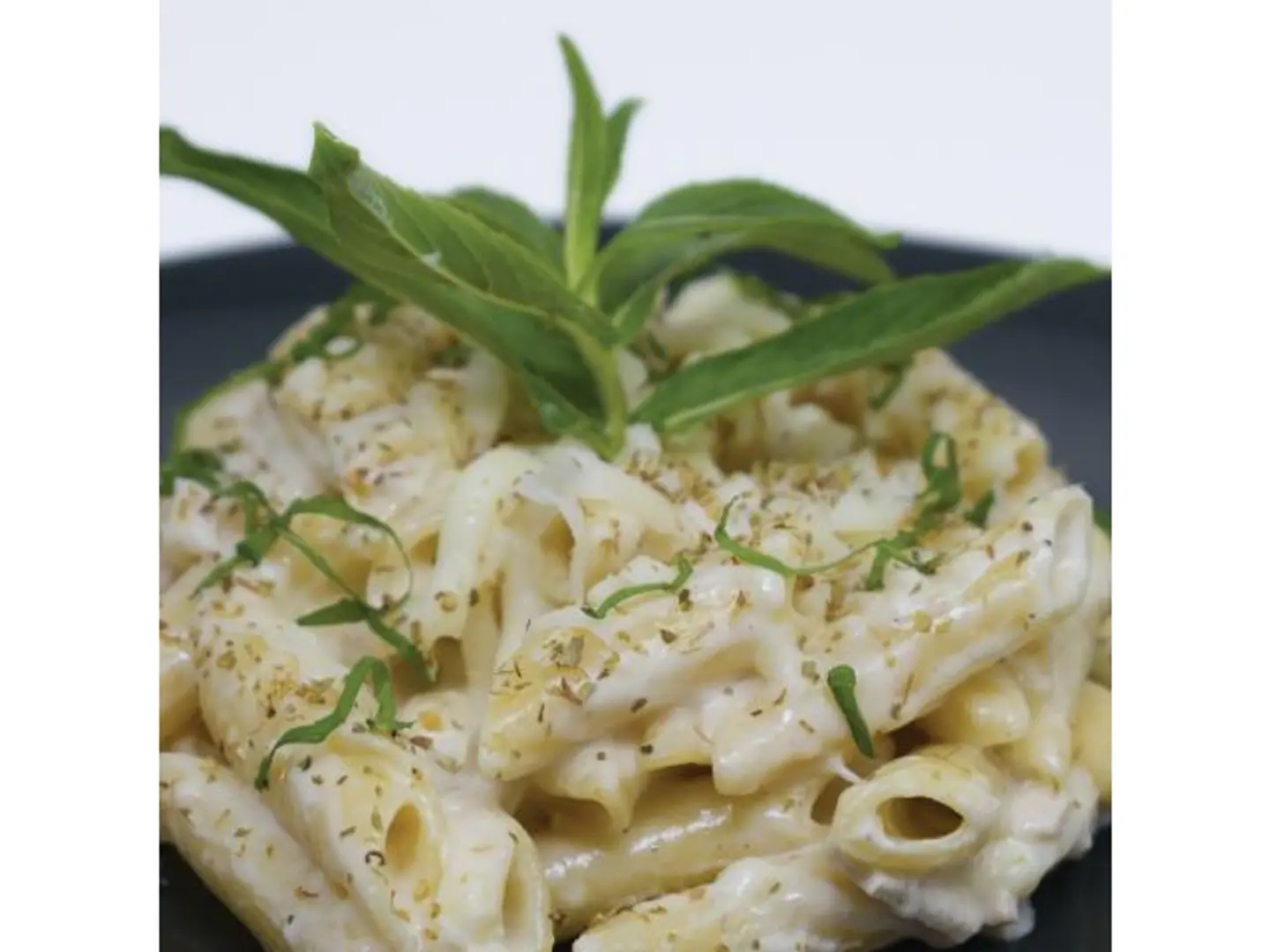 Chicken Alfredo