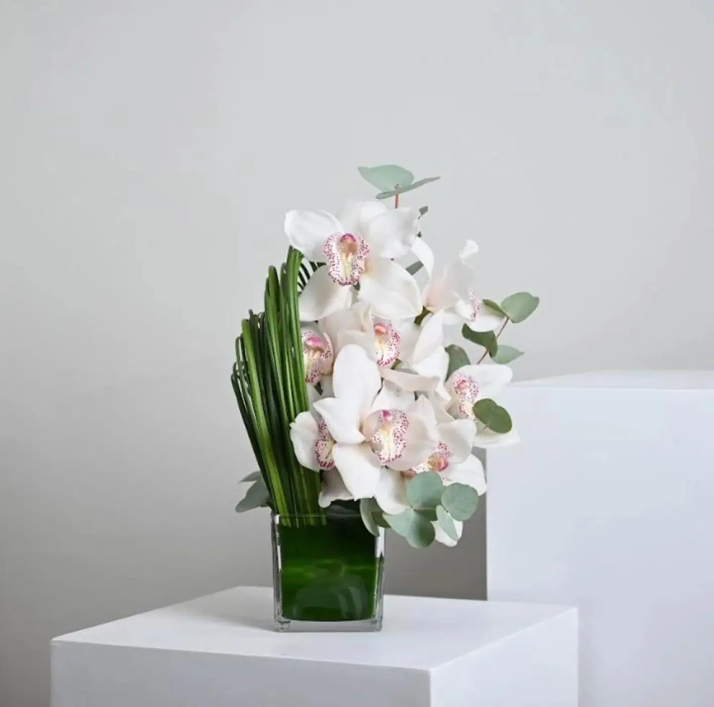 فازة بياض الروح