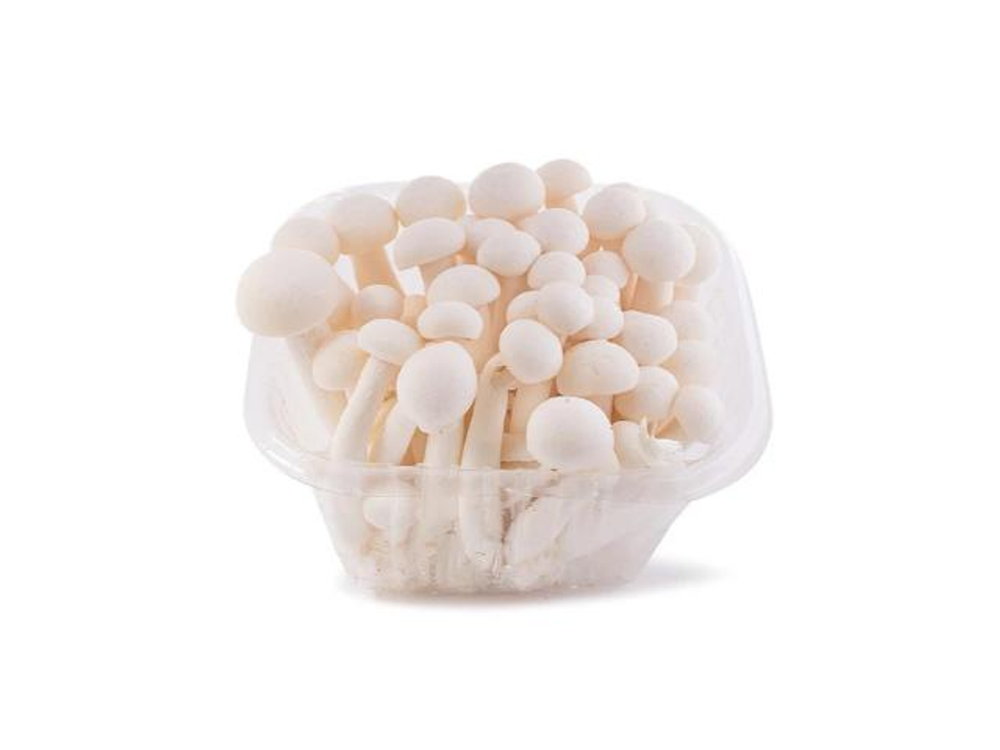 Shimji White Mushroom Holland