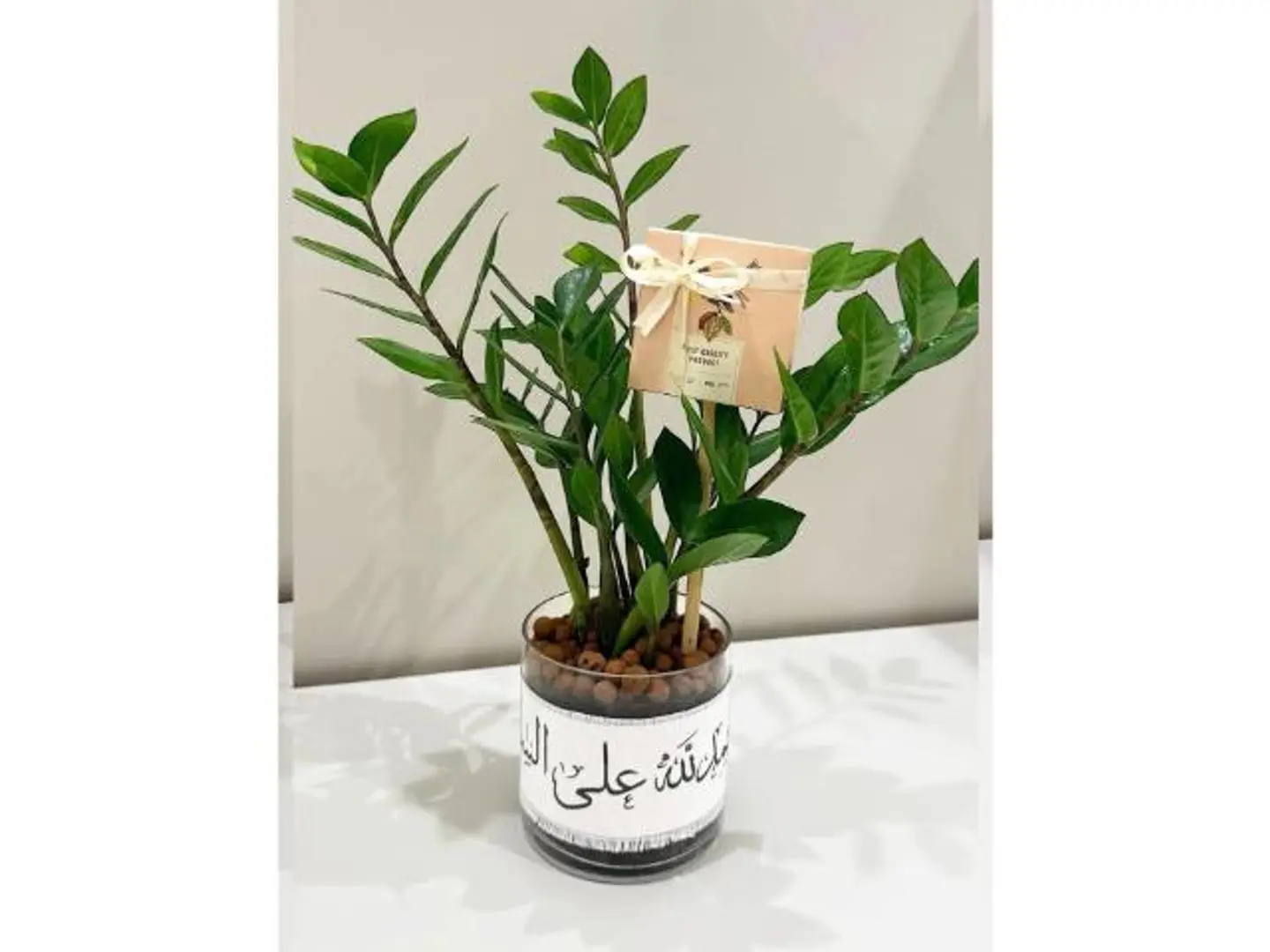 الزاميا مع شريط الحمدلله على السلامة وشكولاتة