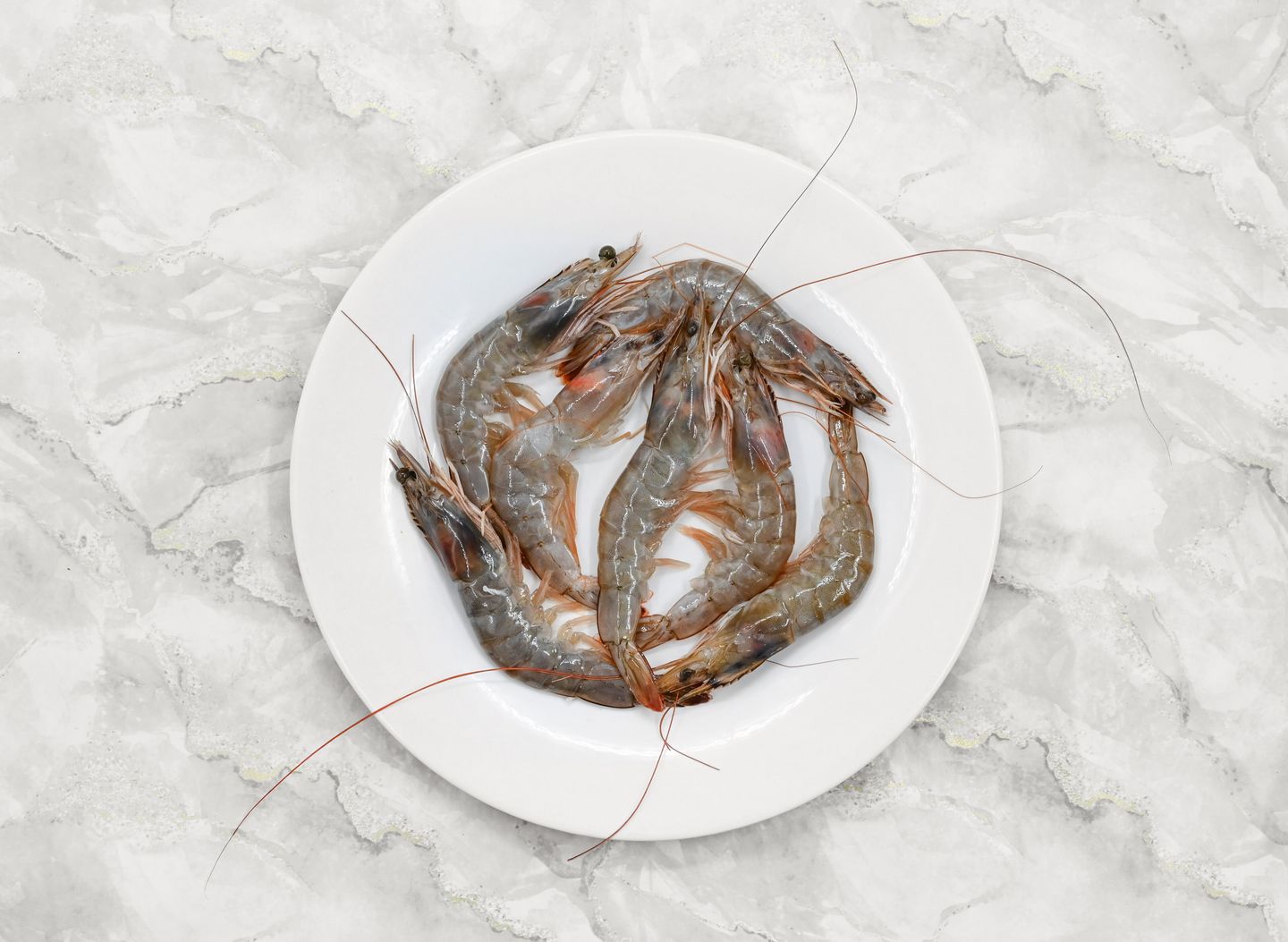 Farm Shrimp