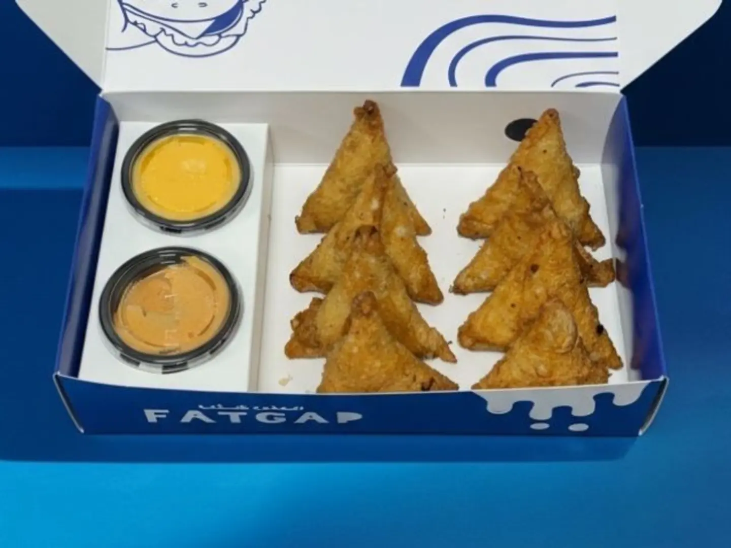 Chicken Samosa