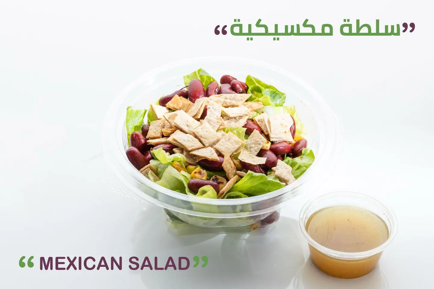 السلطة المكسيكية
