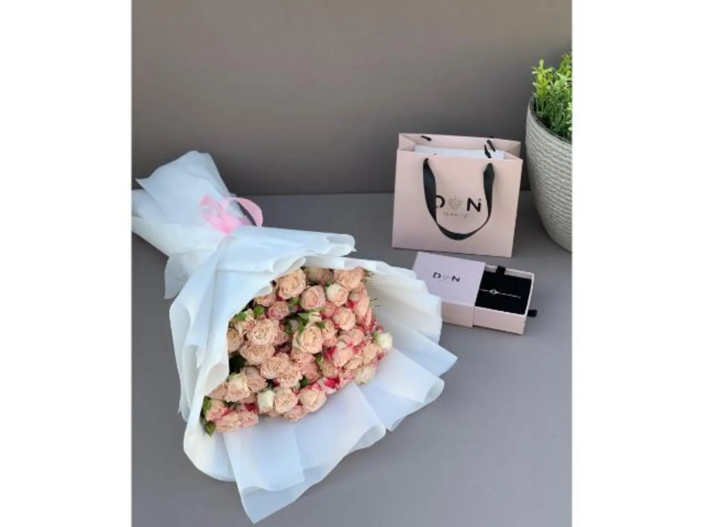 اسواره فضه دان مع بوكيه 2