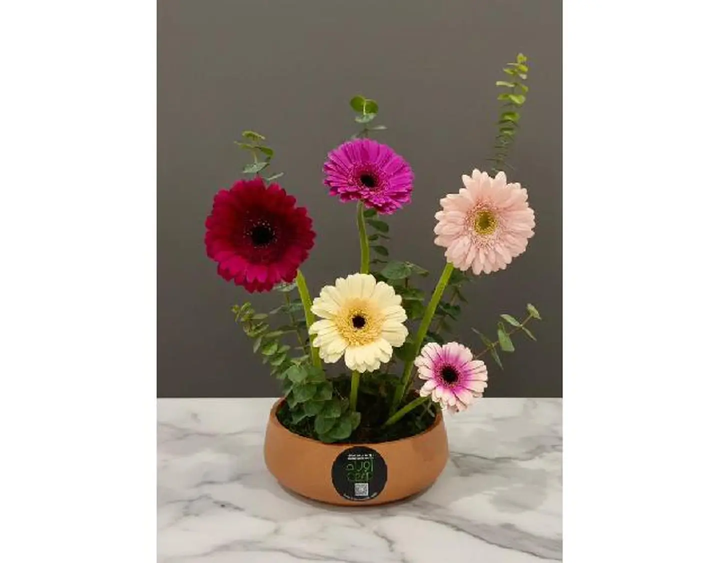 حديقة تيراكوتا