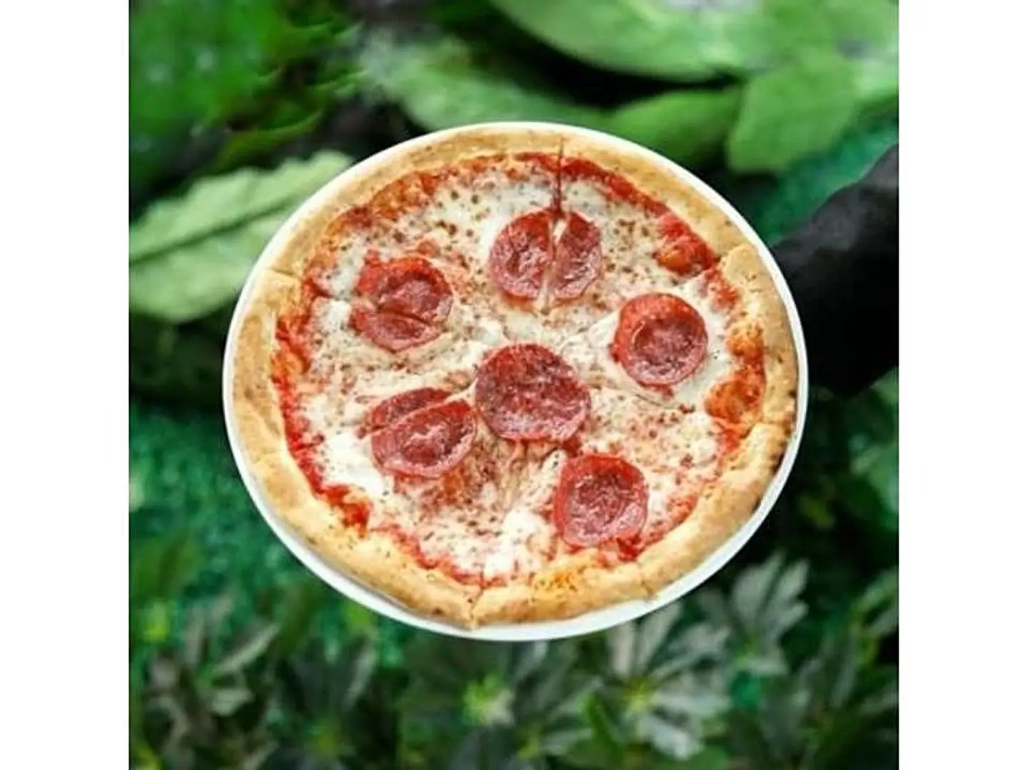 بيتزا بيبروني