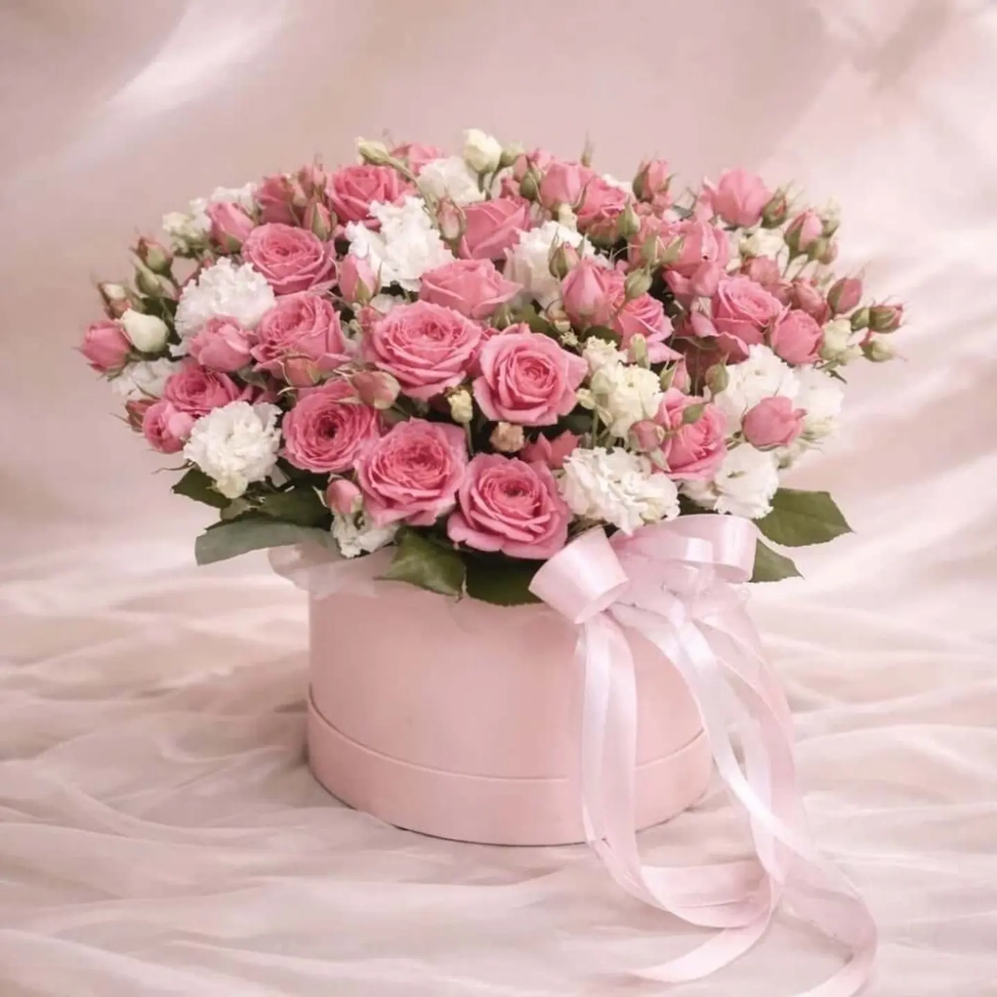 بوكس البيلسان