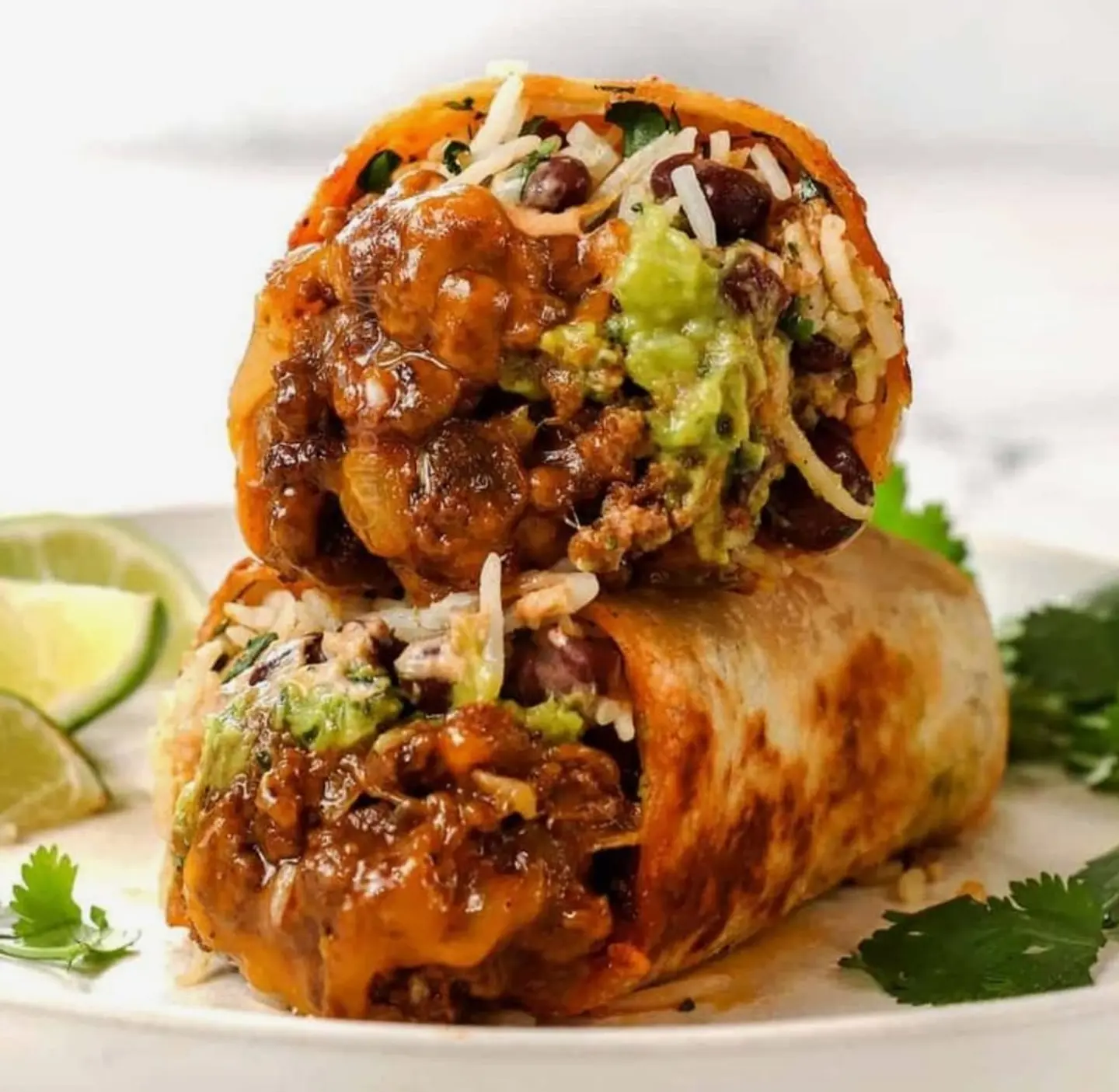 Burrito Birria