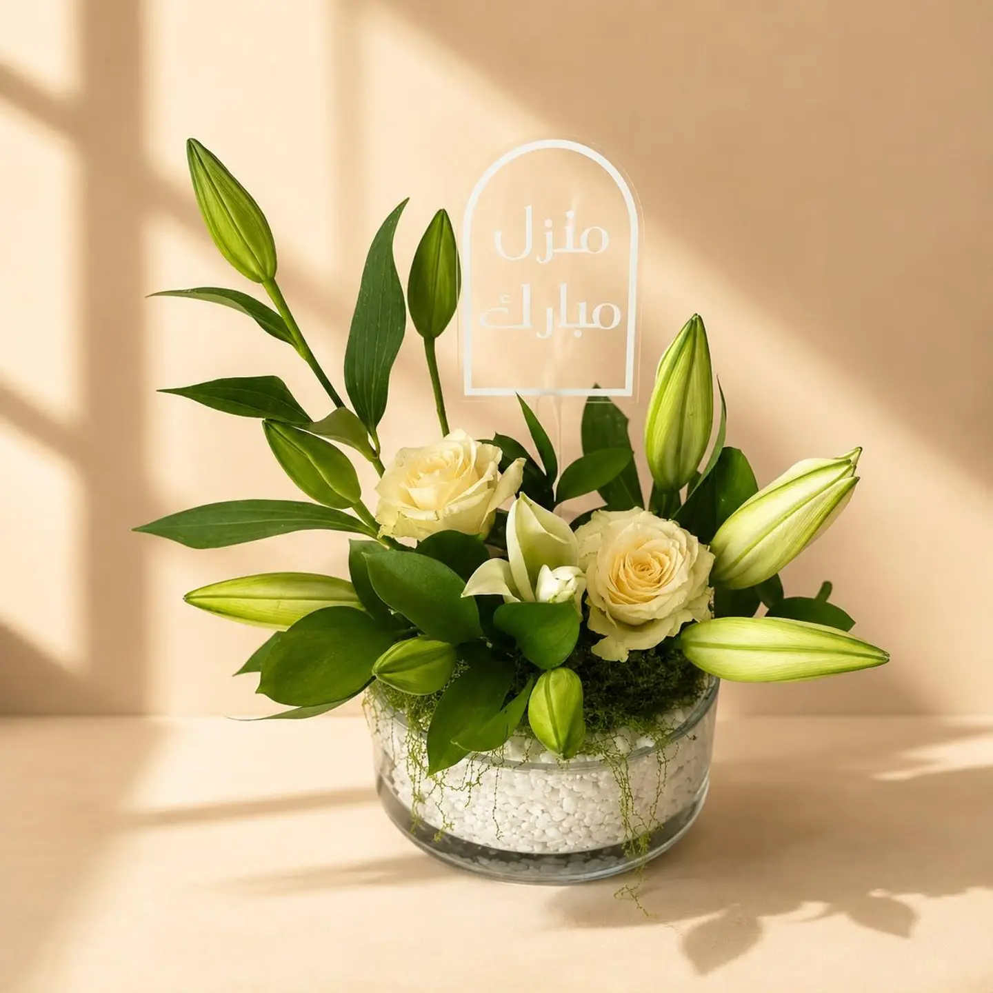 Occasion Gift 10