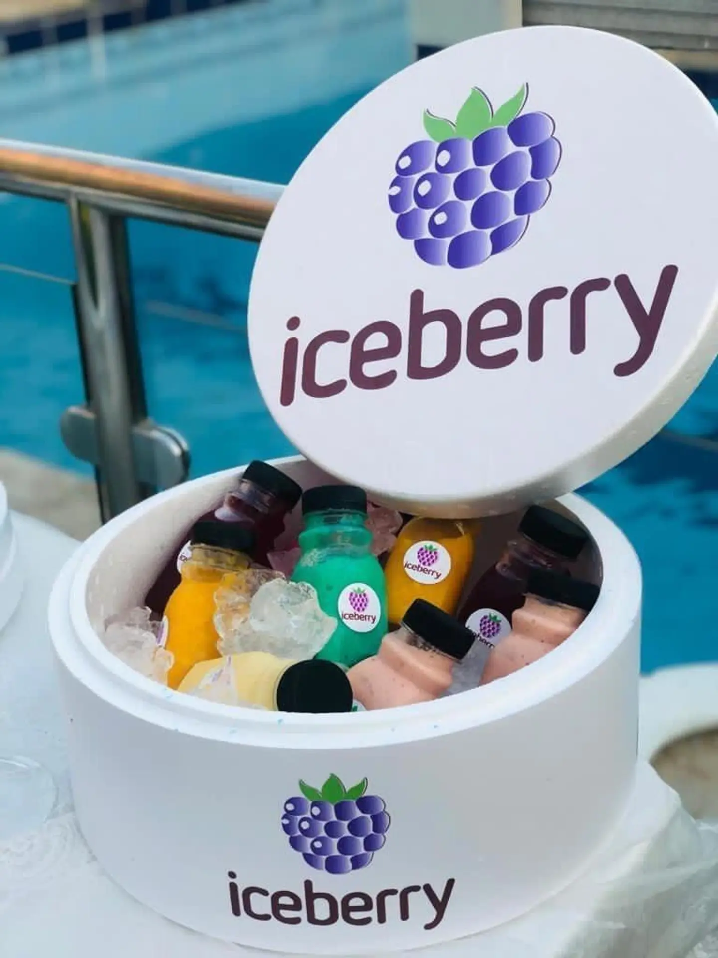 10 Pieces Mixed Ice Berry Juices