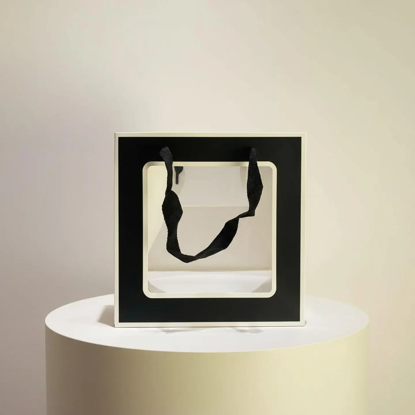 Black Transparent Bag 66