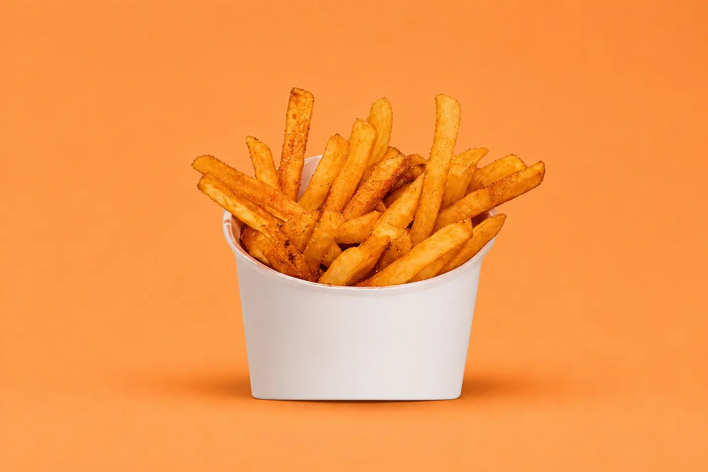Seasoned Fries