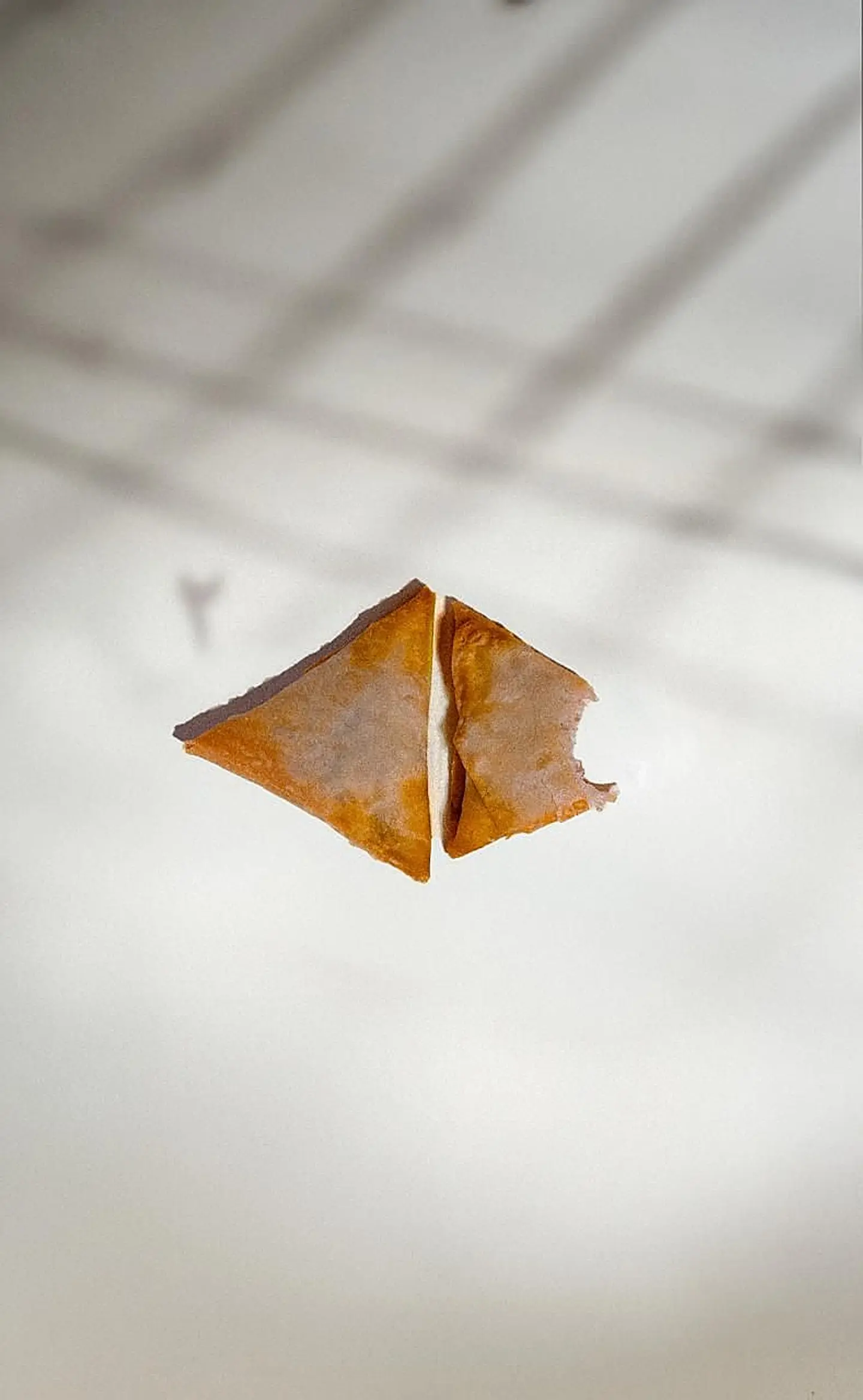 Chicken Samosa With Cheese