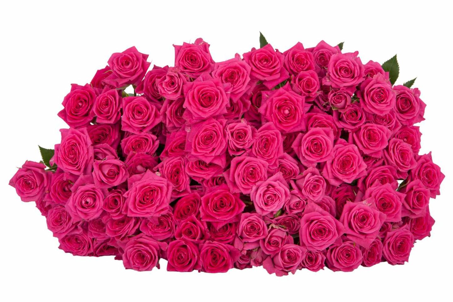 A7 Pink Spray Rose 10 Stem