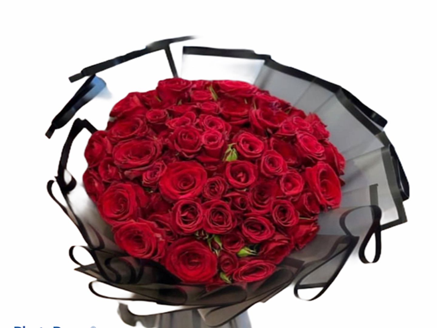 Morjan