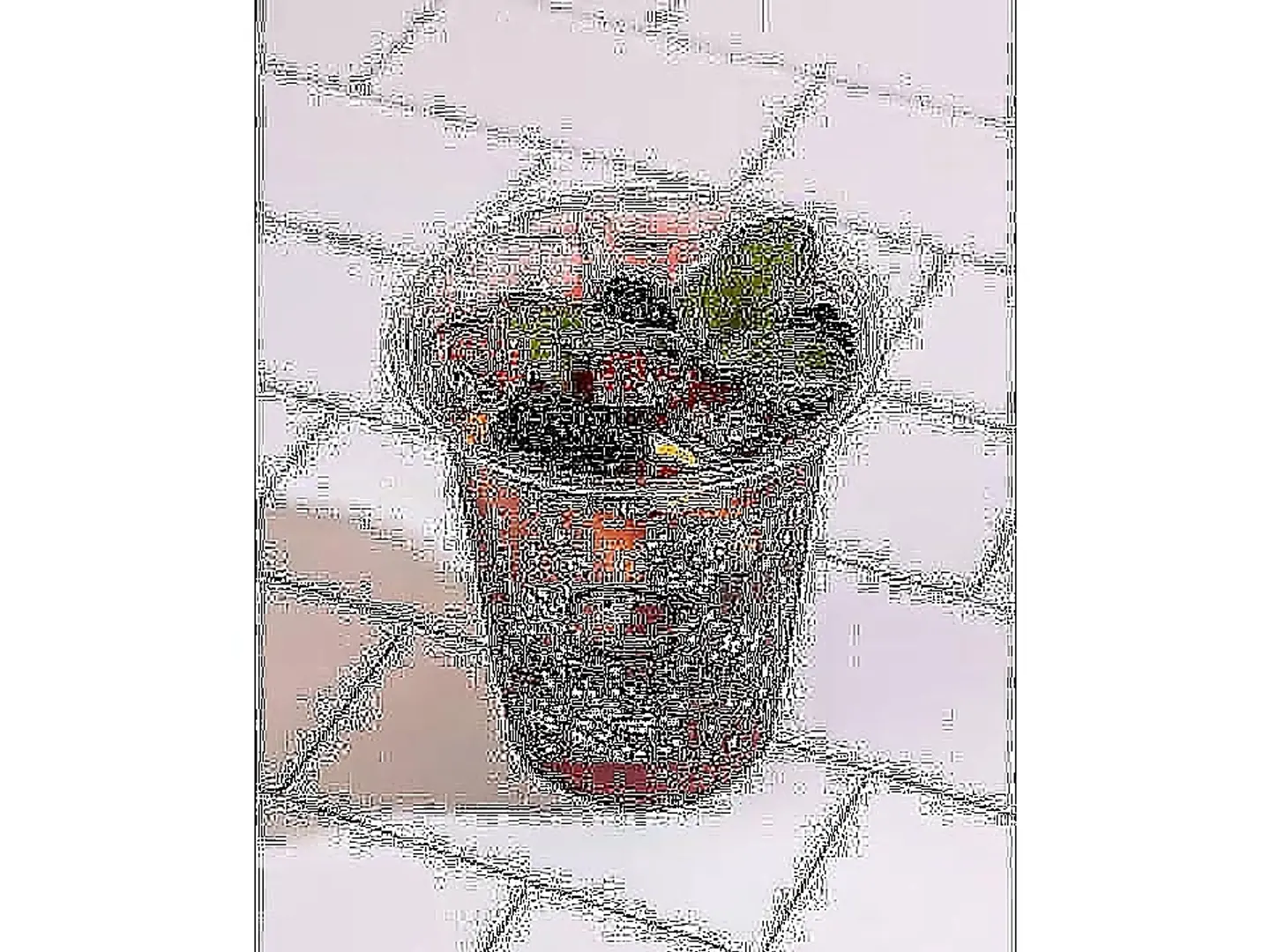 Mixed Mojito