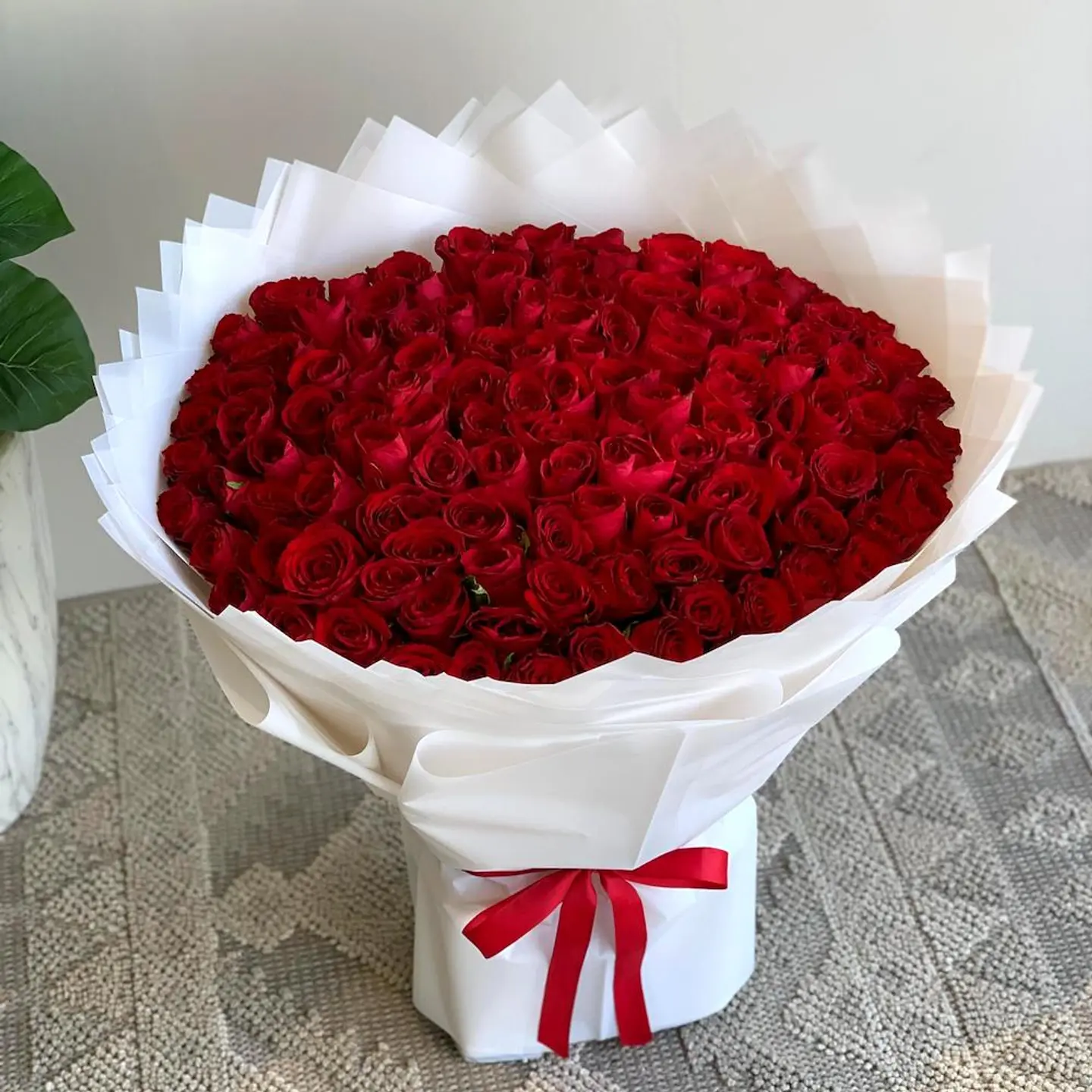 مائة جوري ٢