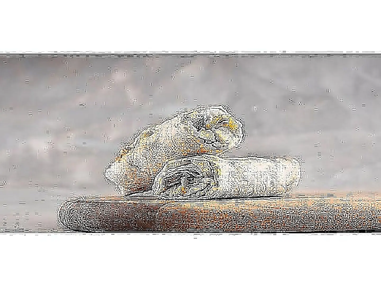 شاورما صاجة