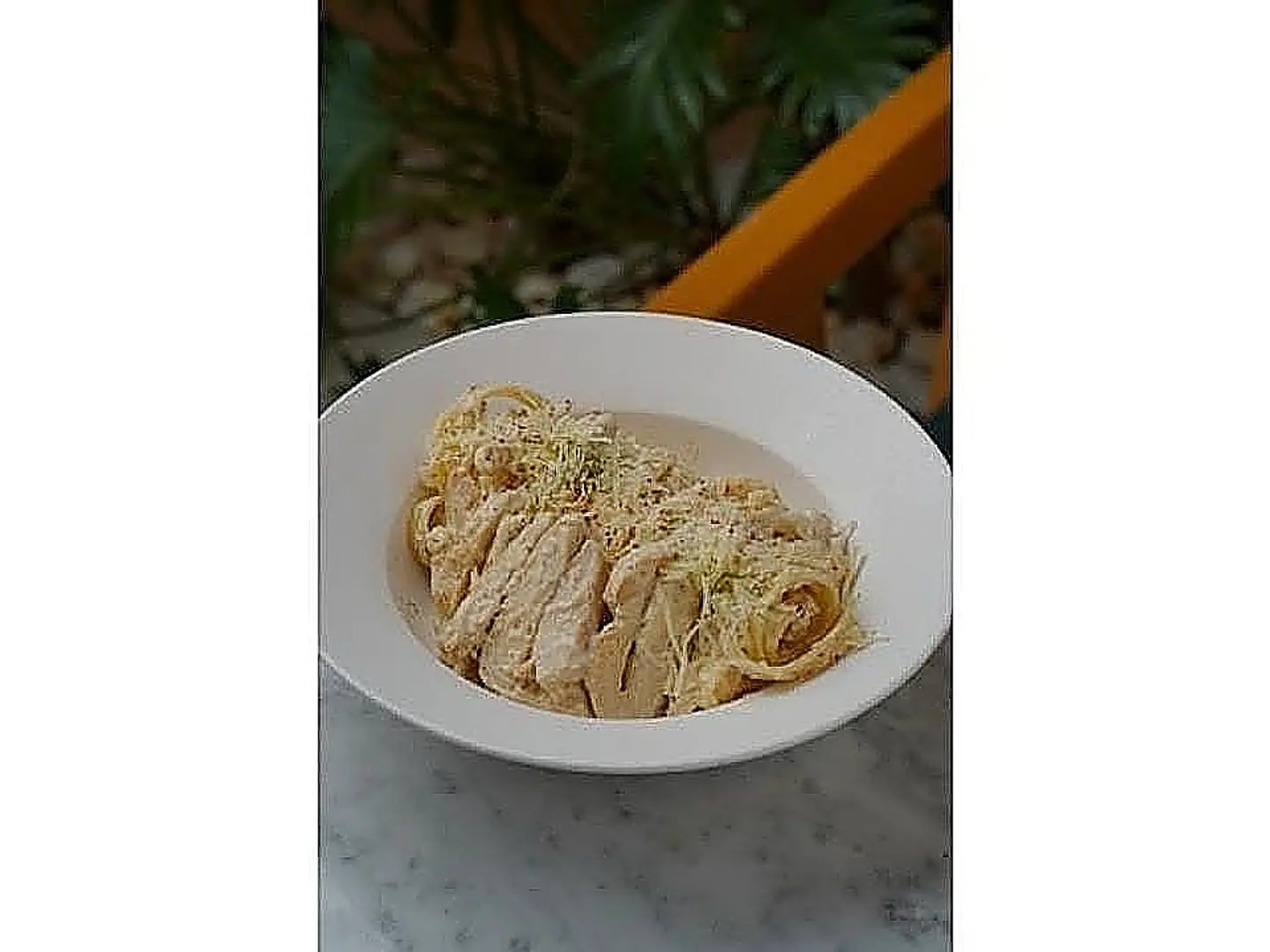 Fettuccine Alfredo Pasta