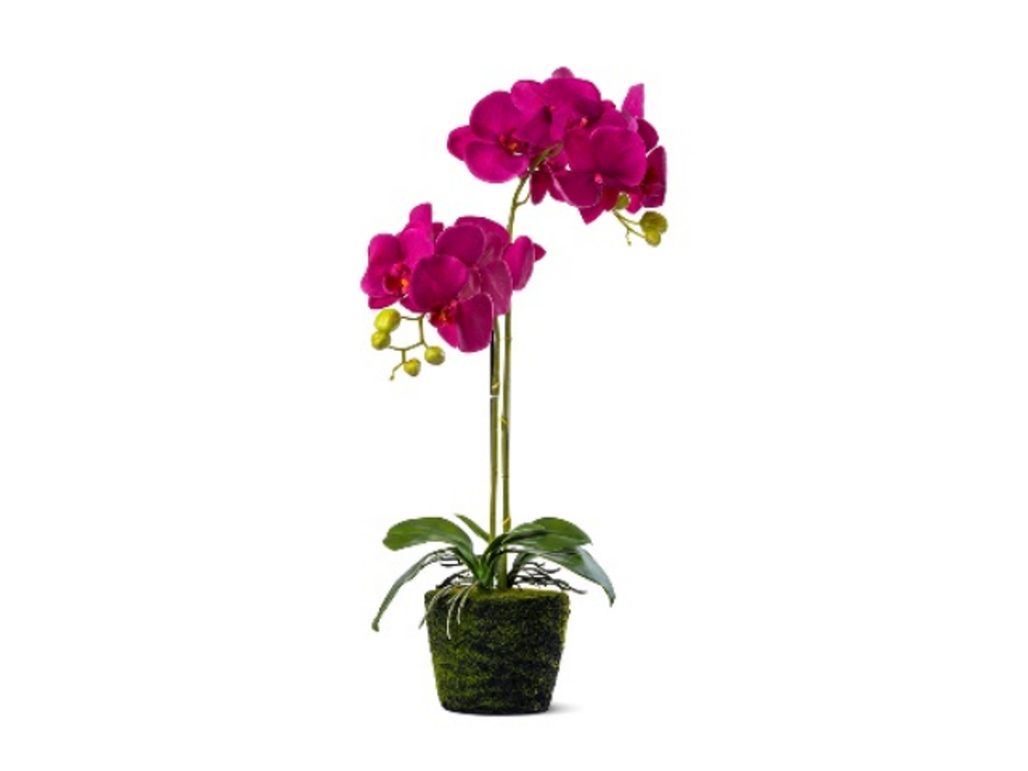Artificial Orchid Realtouch Purple