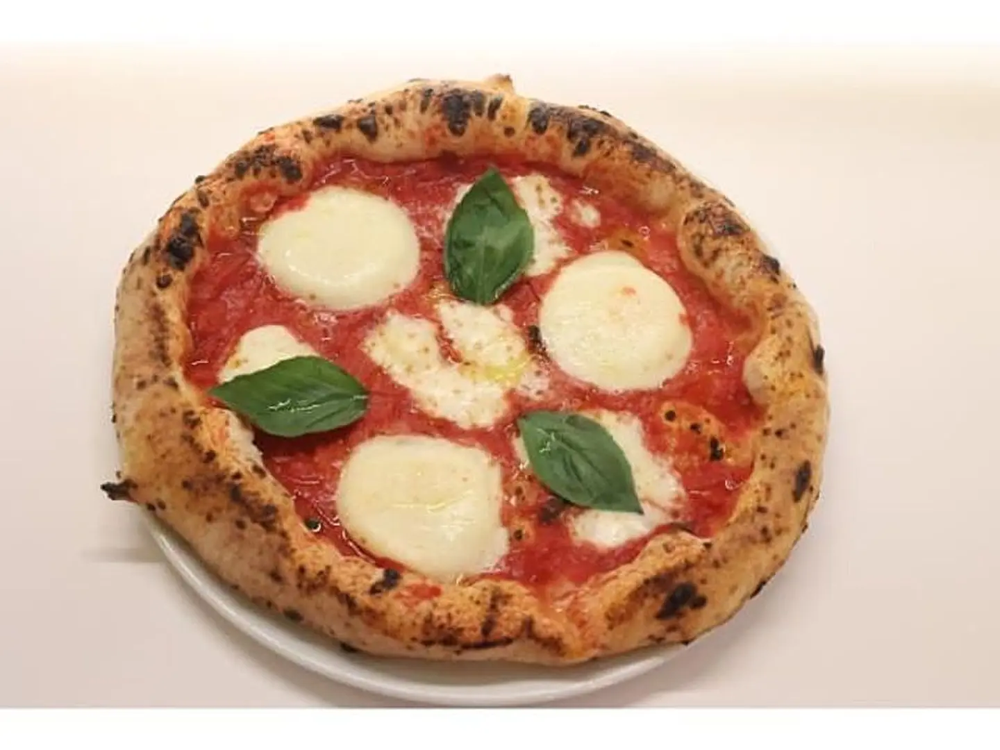 Margherita Pizza
