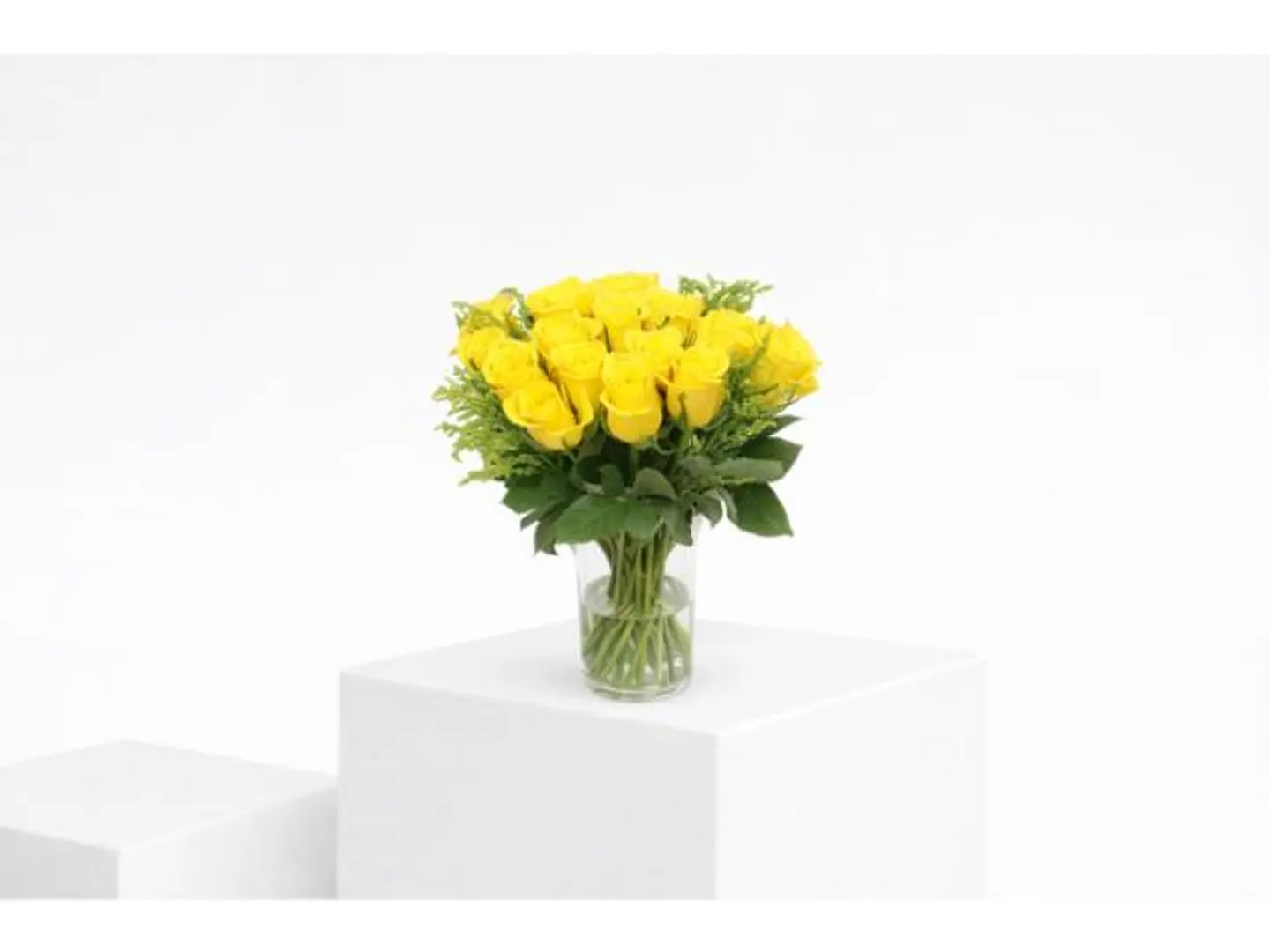 فازة العالمي