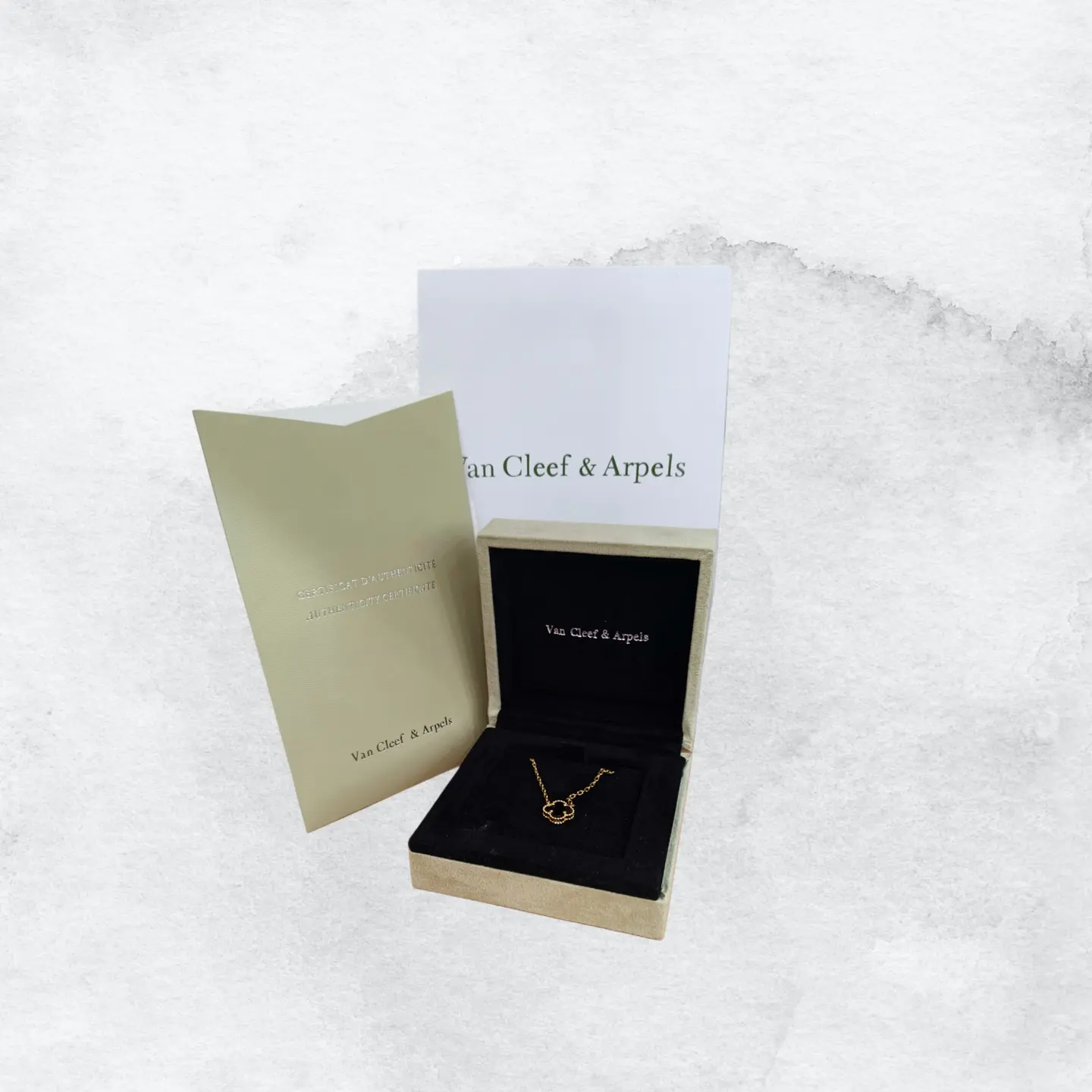 سوار فان كليف (5)