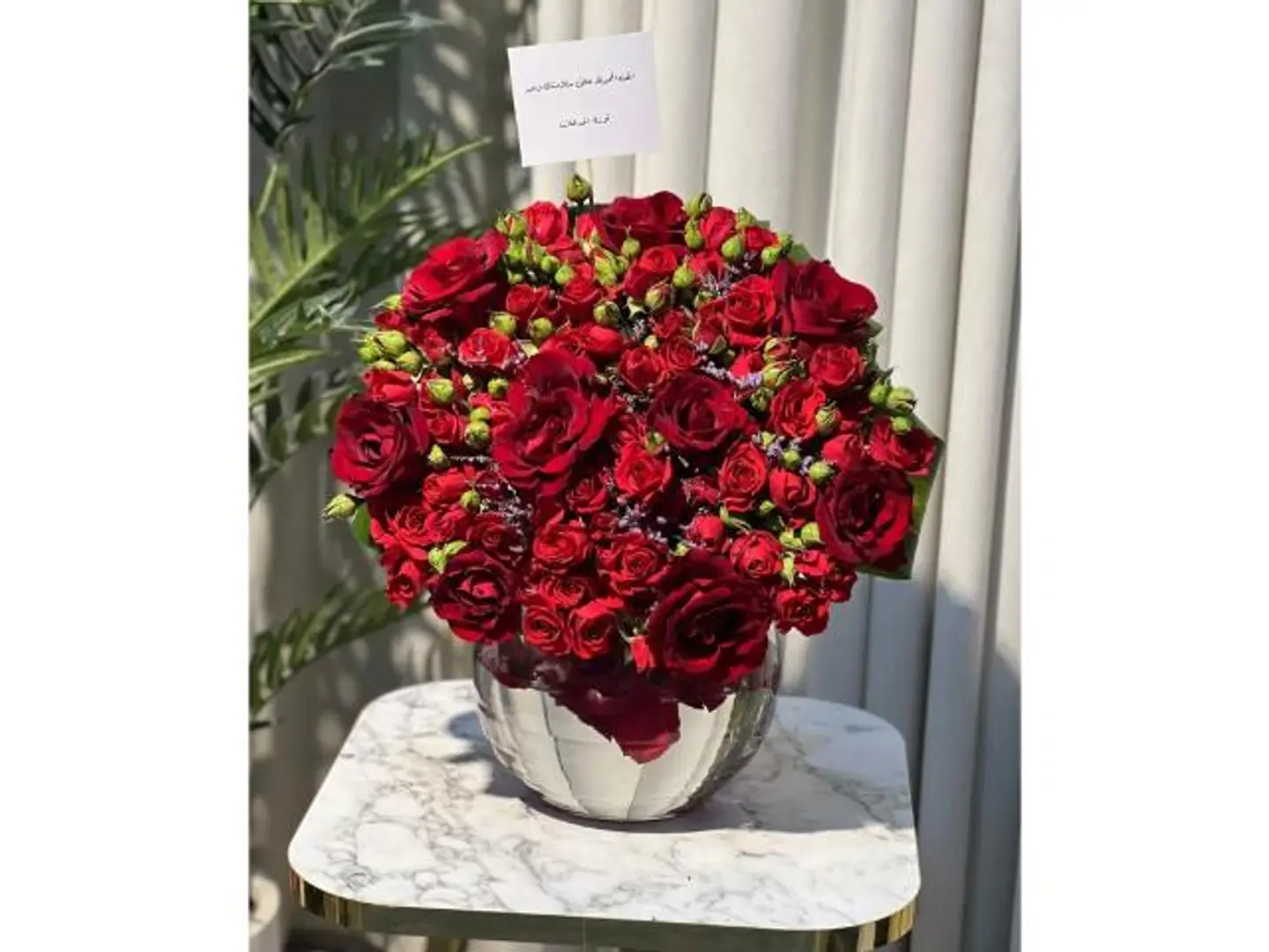 فازة عنابية