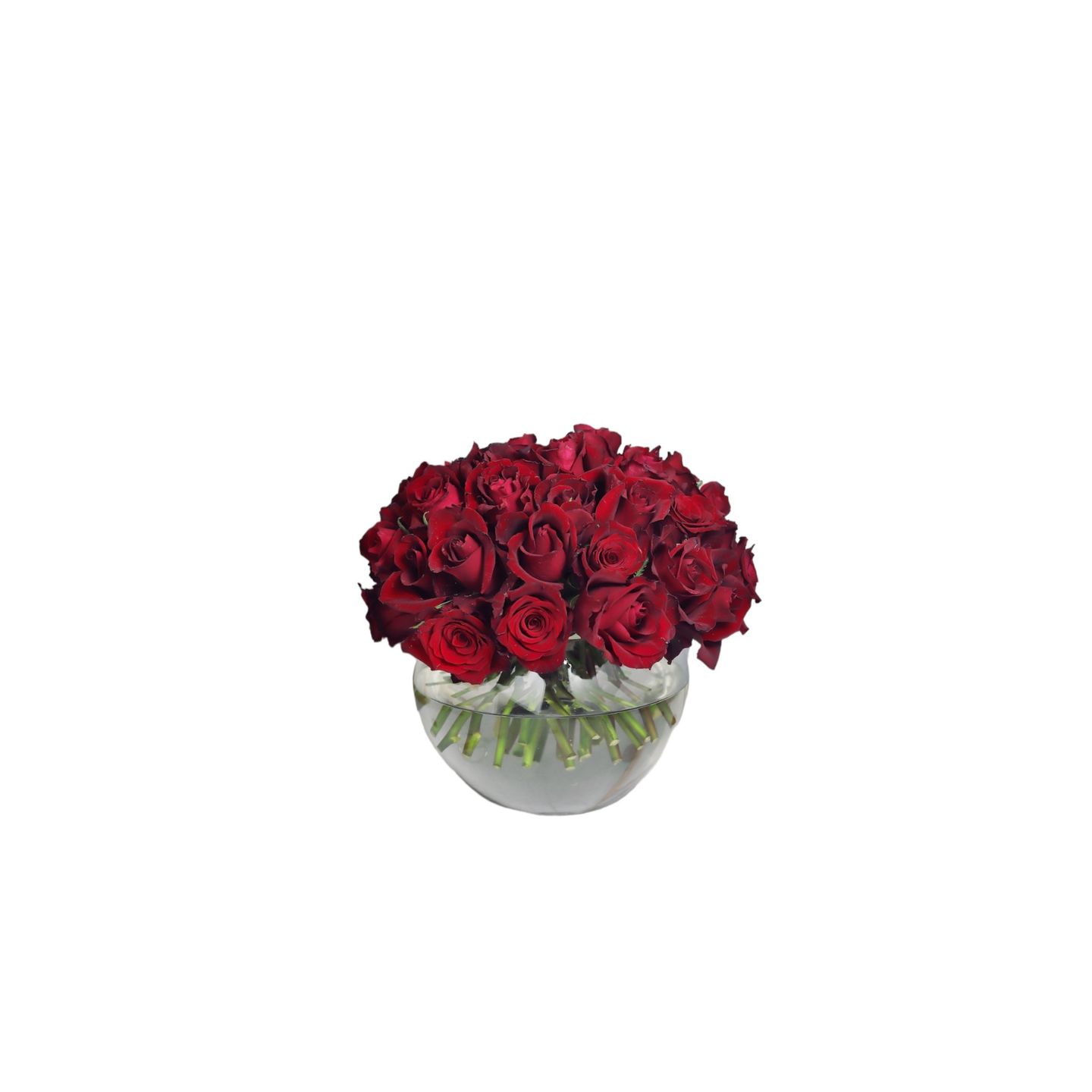 فازه باشن