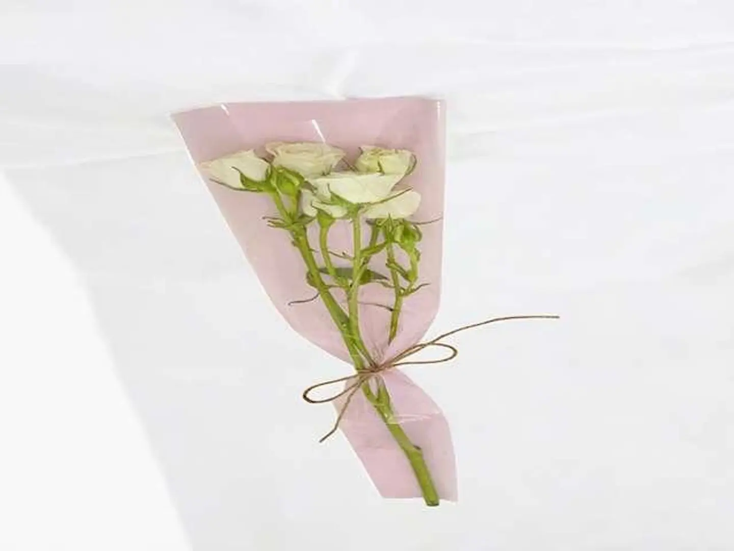 تي زيرو فايف