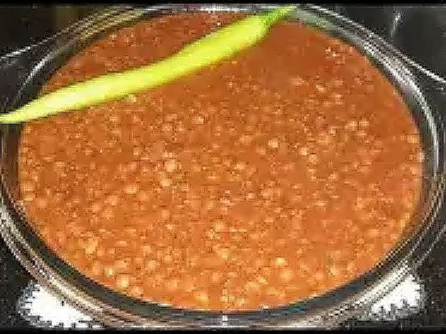 عدس مخصوص