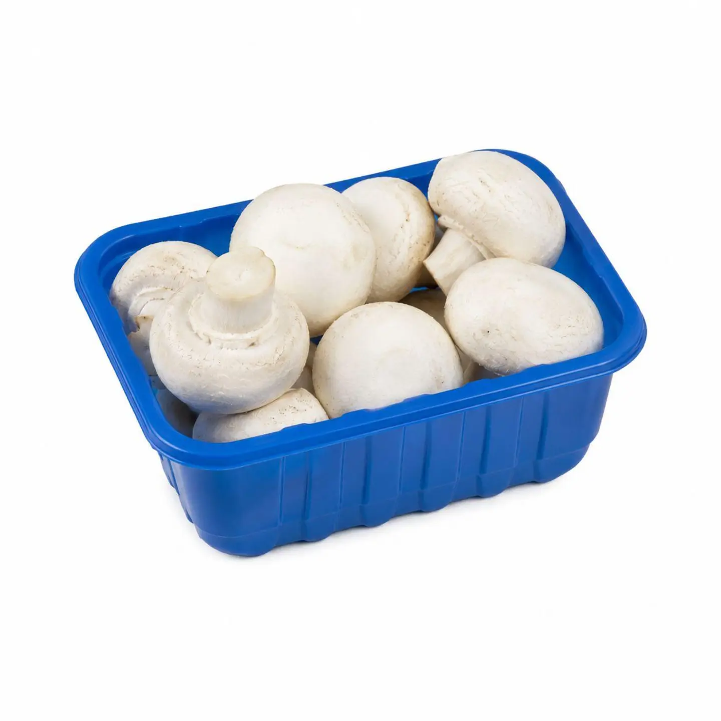 White Mushroom