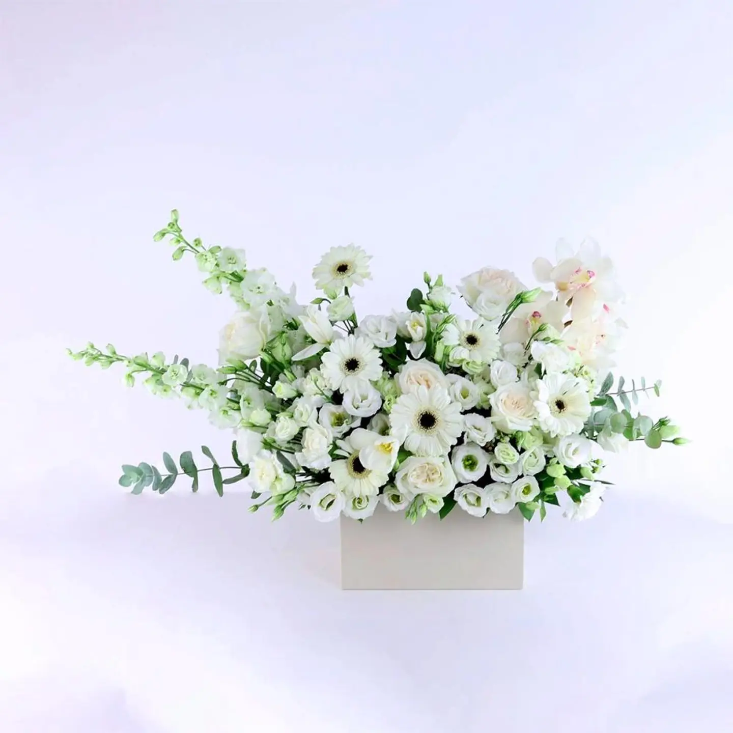 أناقة الورد الأبيض