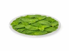 نعناع