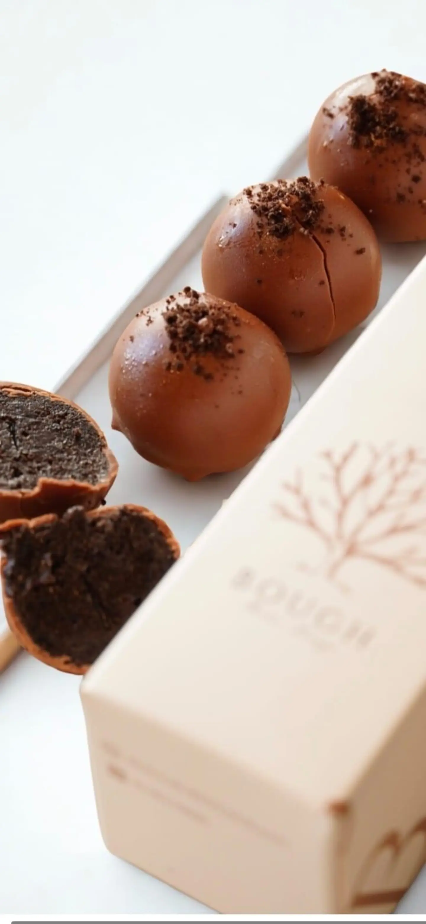 أورويو ترفل