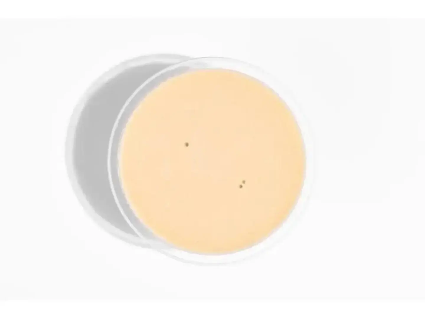 Tahini Sauce