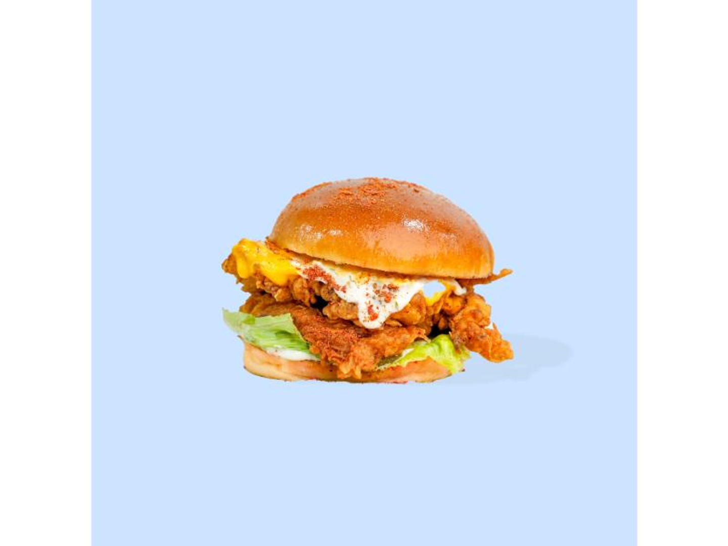 Spicy Chicken Burger