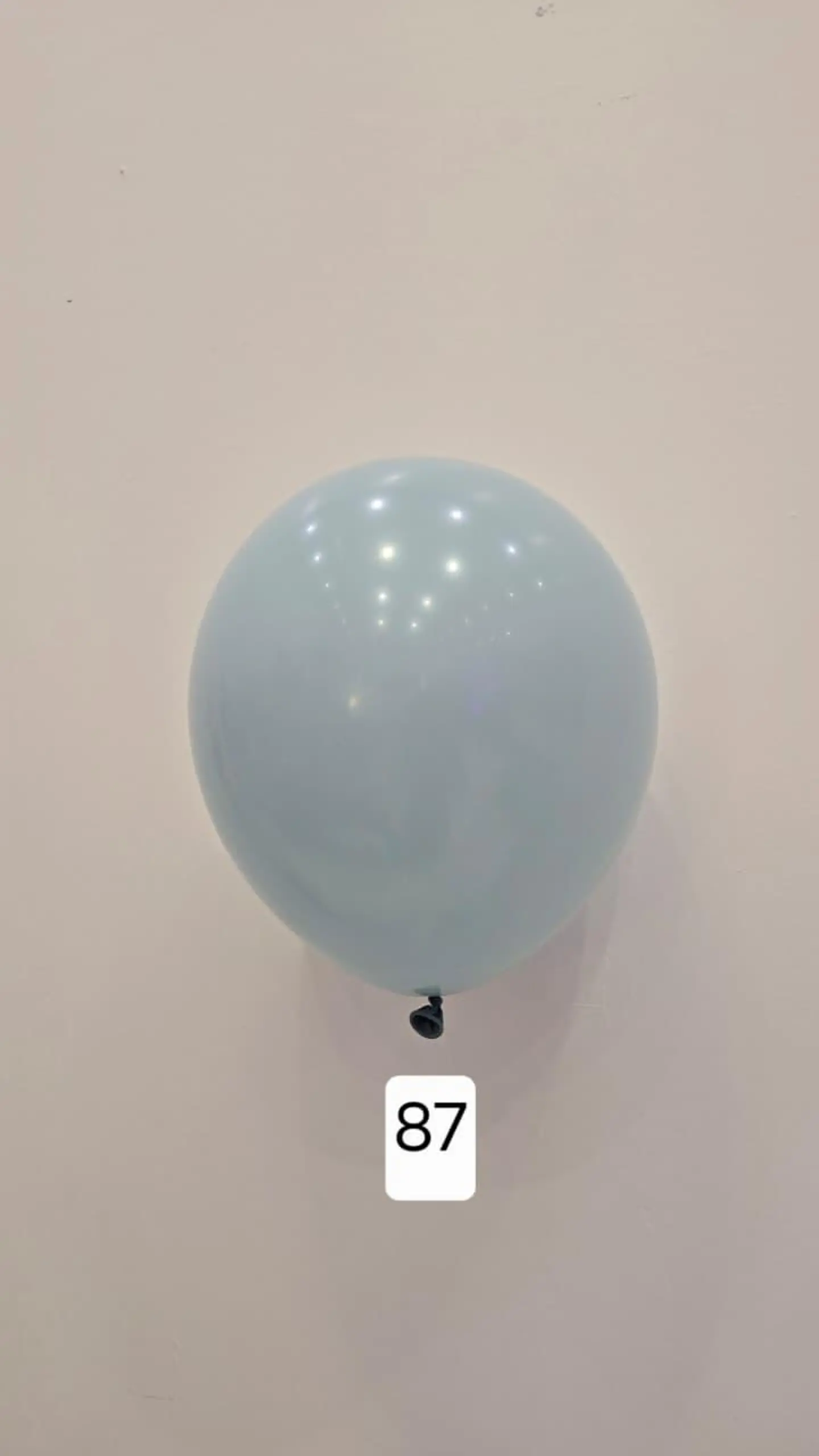 Balloon Number 87