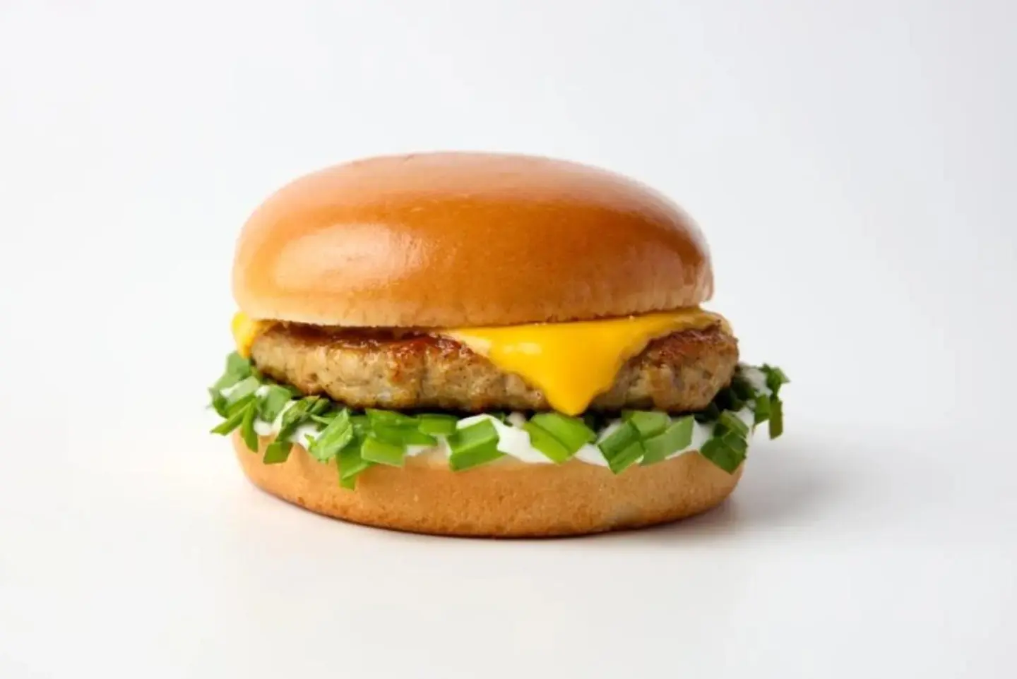 Plain Chicken Burger