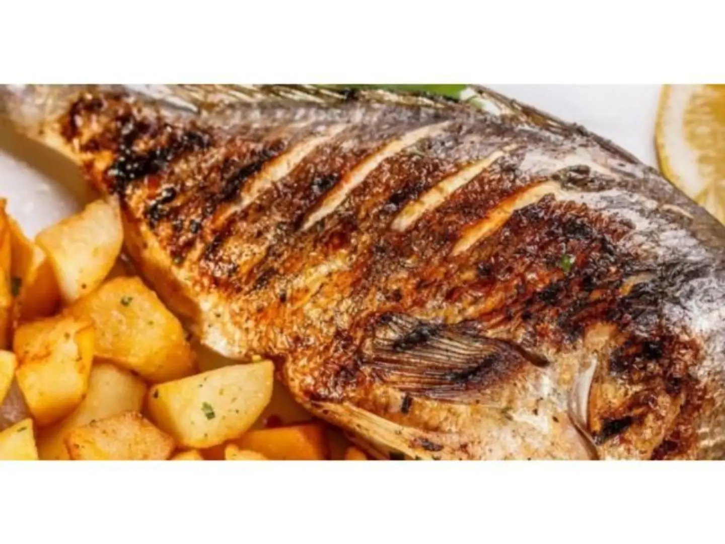 Fish Meal