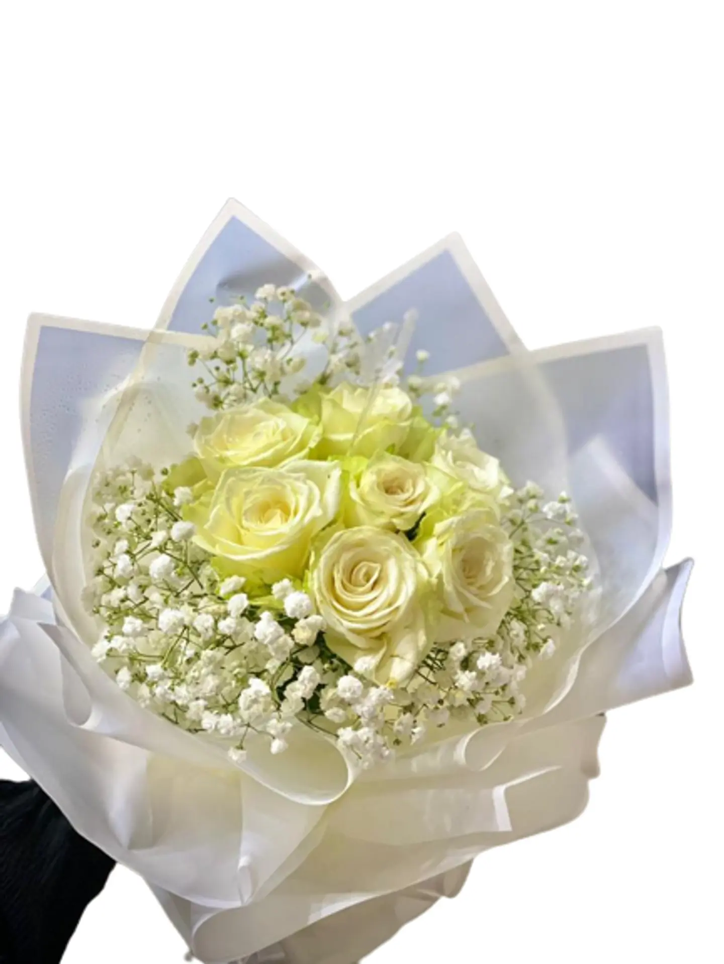 باقة الأناقة 3