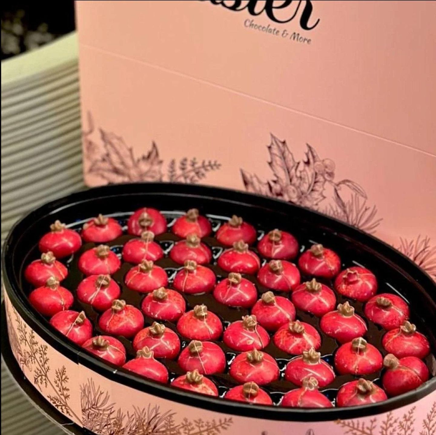 Astor Pomegranate