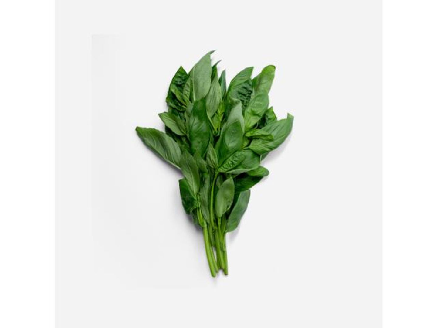 Basil (Kenyan)